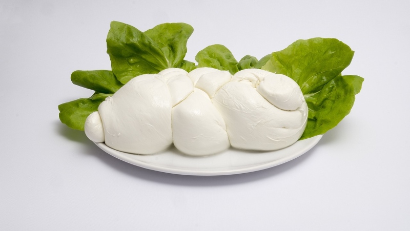 Mozzarella sýr