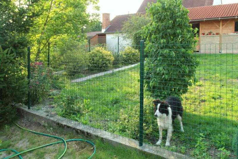 Jak na oplocení výběhů pro zvířata?