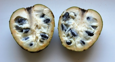 Exotické ovoce zvané Cherimoya