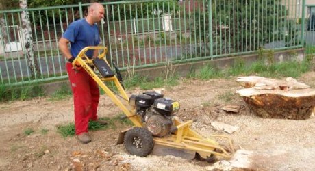 Likvidace pařezů – mechanicky, chemicky nebo biologicky?